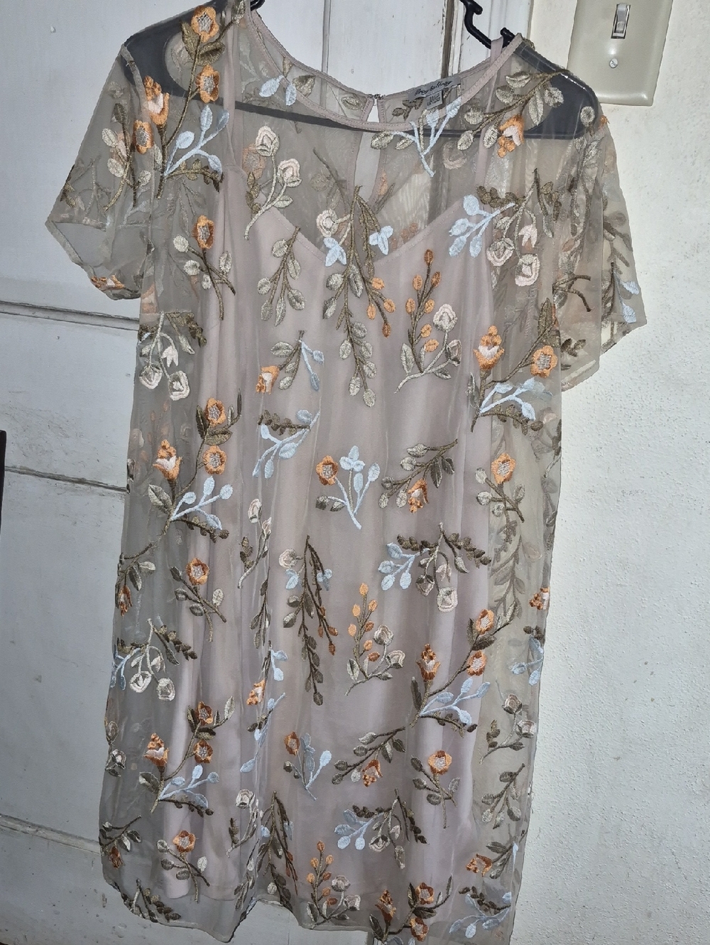 Embroidered Sheer Tunic Dress in Taupe/Beige